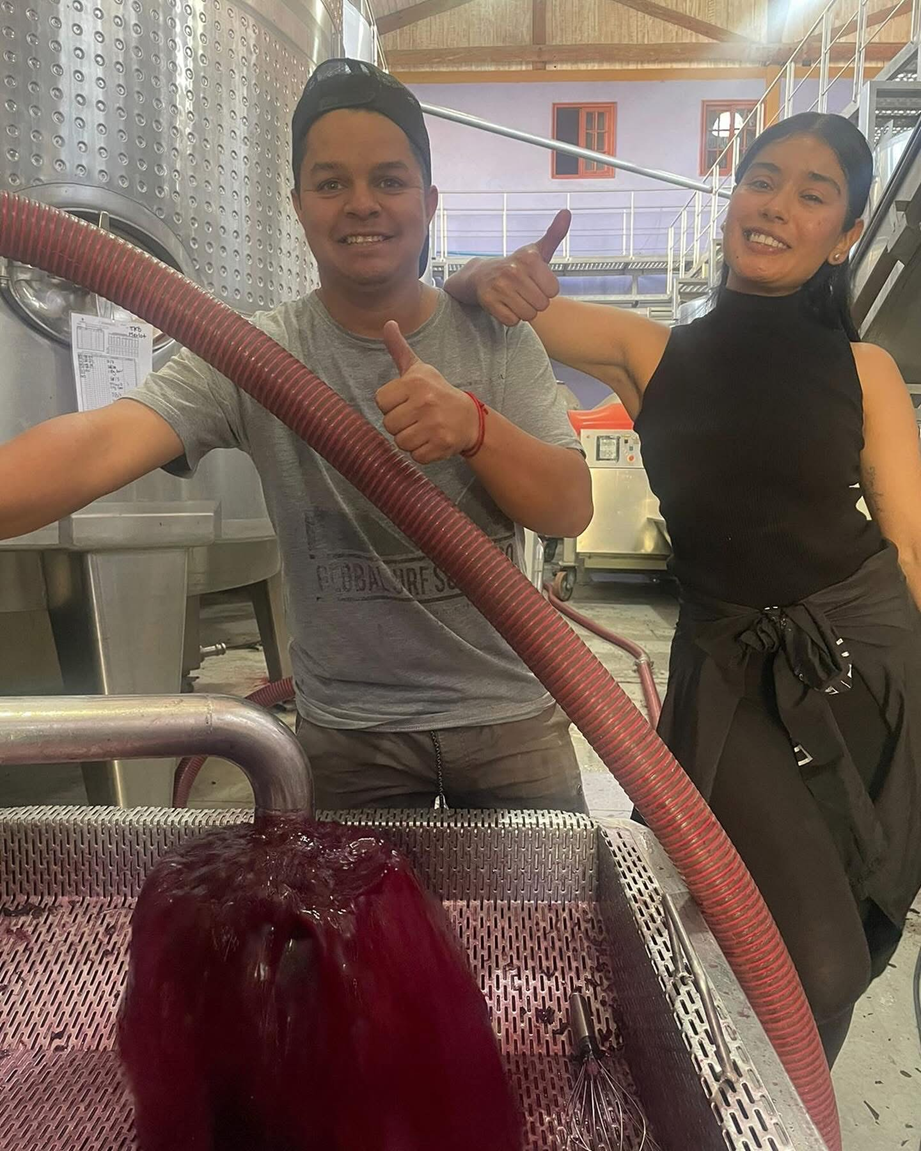 Algunos viñedos chilenos crecen a pasos del océano, donde la sal y el viento aportan un toque único a sus uvas.