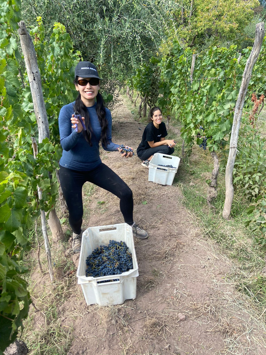 Entre barricas y aromas de madera, las bodegas de Mendoza invitan a descubrir la elegancia del vino argentino en cada sorbo.
