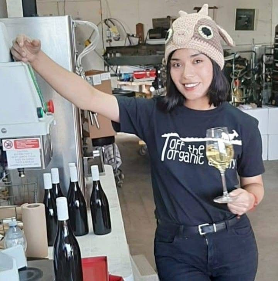 El icónico ice wine nace del frío extremo: uvas congeladas que concentran un dulzor natural y un sabor profundamente elegante.