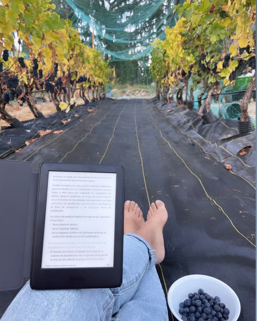 Entre cascadas y caminos rurales, Niagara-on-the-Lake ofrece una de las experiencias enológicas más encantadoras de Canadá.