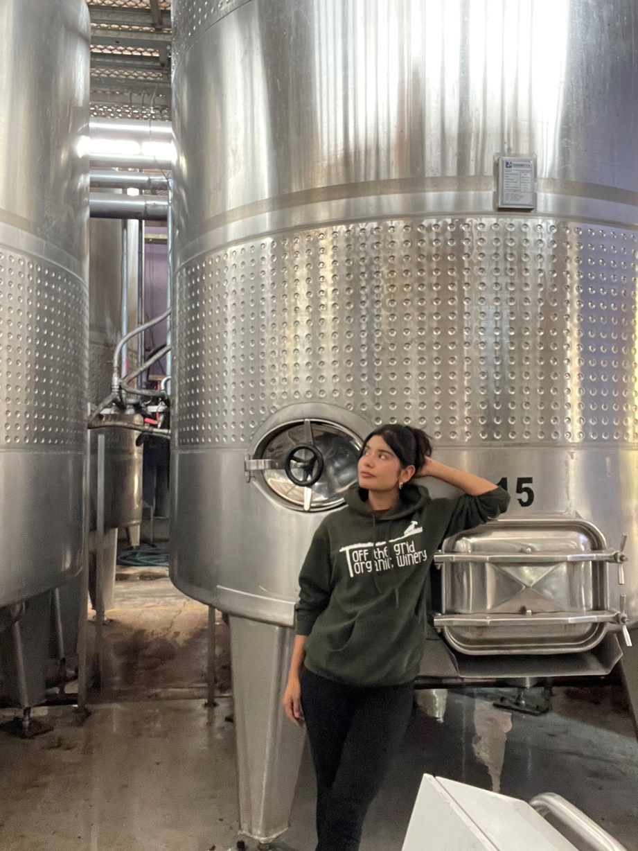 El Valle de Colchagua es un ícono de la enología chilena, conocido por sus Cabernet Sauvignon de carácter profundo.