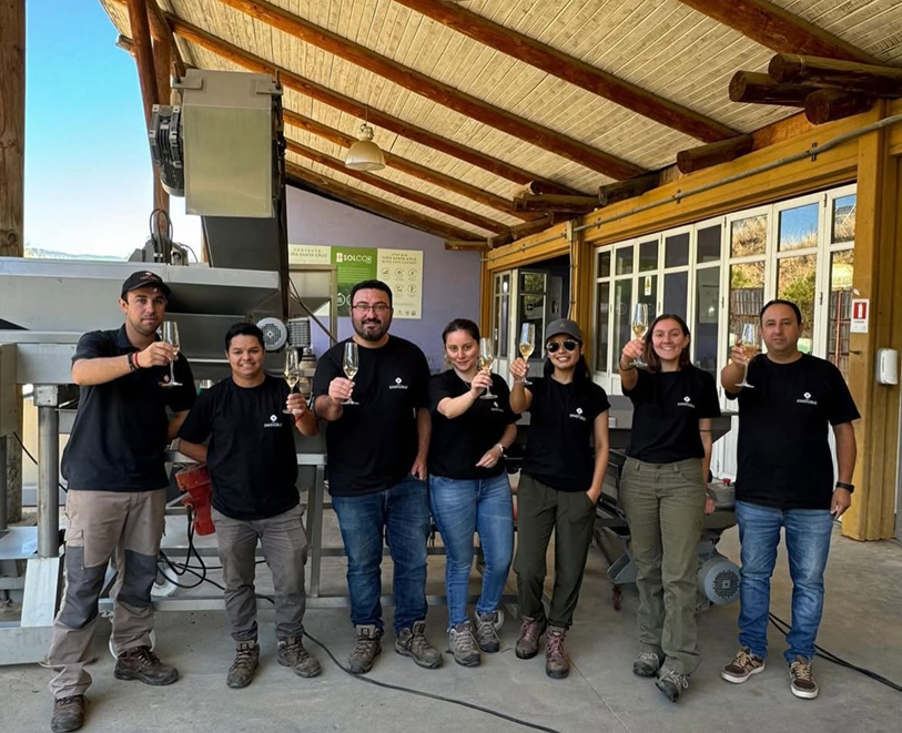Entre montañas y brisas frías, las uvas chilenas maduran lentamente, adquiriendo equilibrio y complejidad natural.