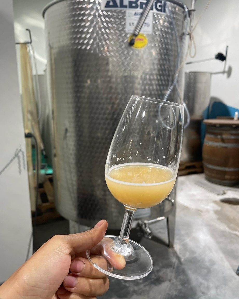 Un brindis al atardecer frente al Lago Ontario celebra la elegancia, frescura y equilibrio que distinguen al vino canadiense.