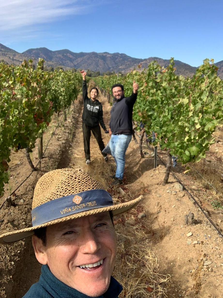 Recorrer la Ruta del Vino chilena es adentrarse en un paisaje de montañas, ríos y viñedos que se funden con la historia.