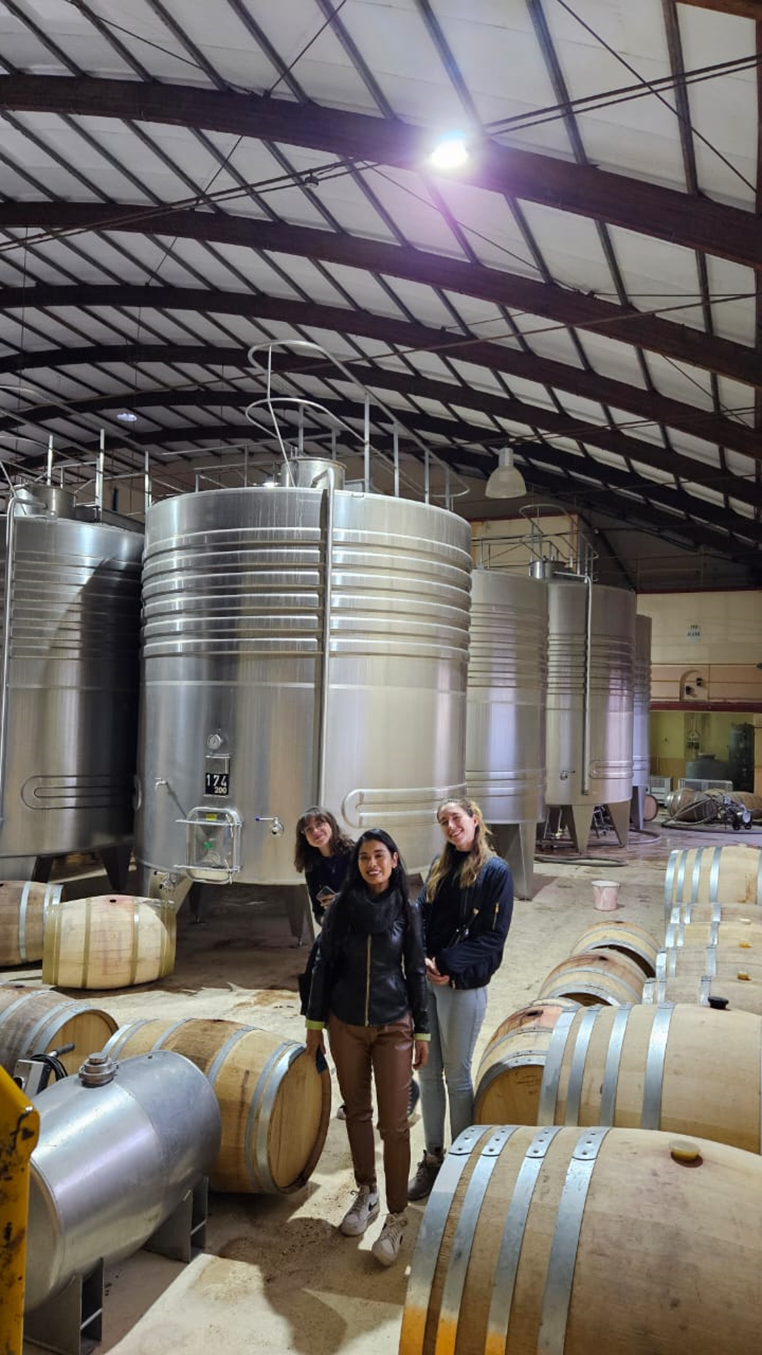 La riqueza mineral del suelo argentino es el alma invisible detrás del carácter de sus vinos.