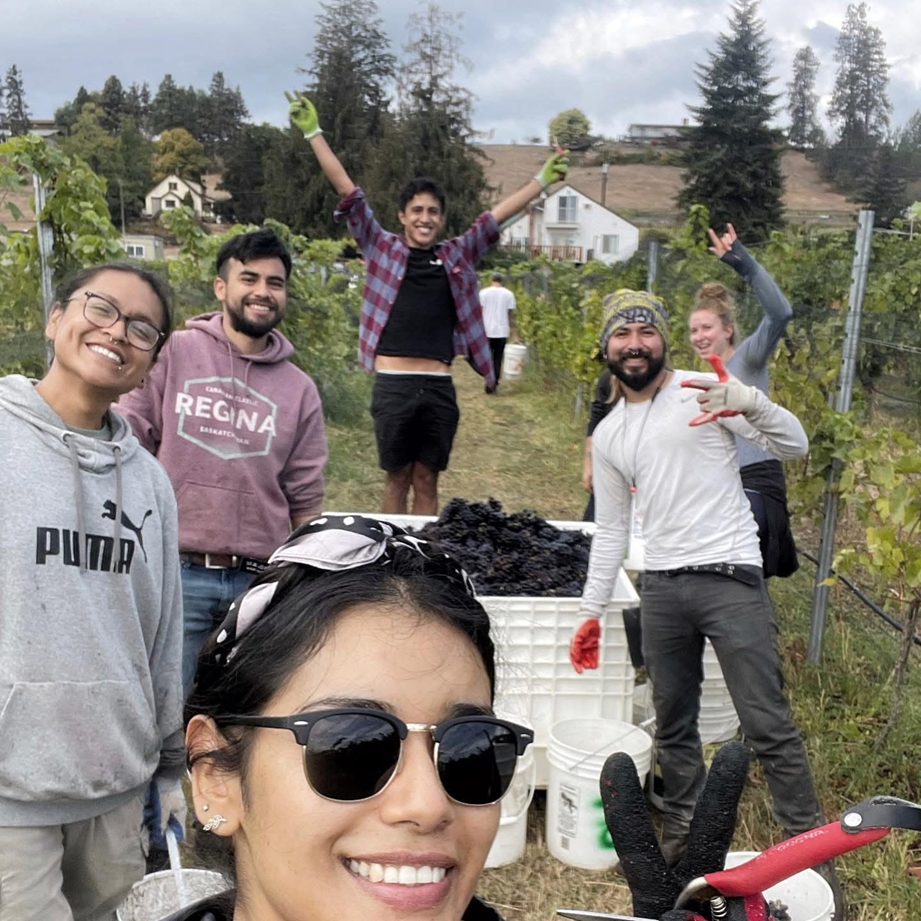 El invierno transforma los viñedos en paisajes blancos y etéreos, recordando que el vino también nace del descanso y la espera.